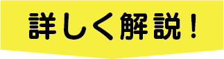 詳しく解説